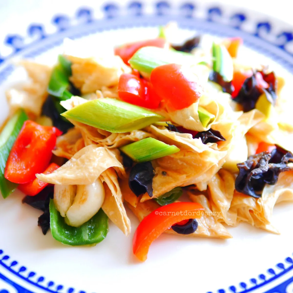 Tofu caillé séché 豆皮